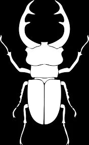 ArmyBug