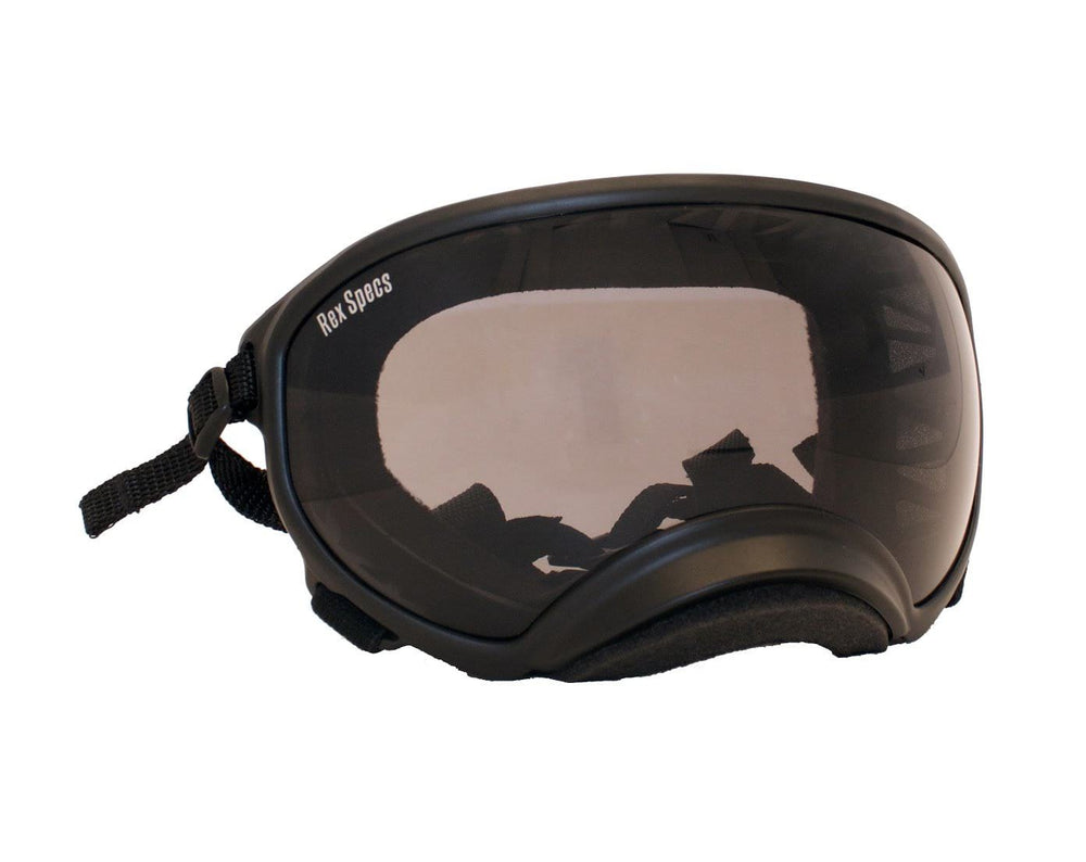 Rex Specs-Large