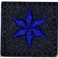 Polizei Dienstgradstern | S4 Supplies
