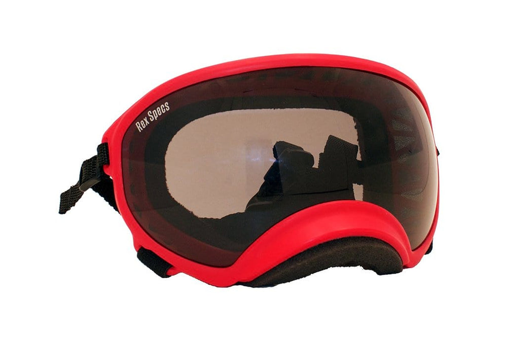 Rex Specs-Large
