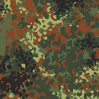 TG TPC Plate Carrier Gen.4 Set (Flecktarn gem. BW TL) | S4 Supplies