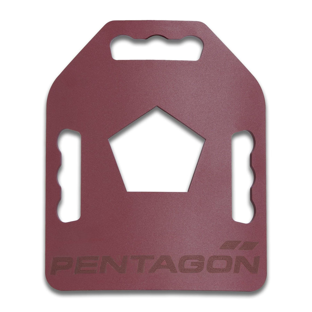 METALLON Sport Platten (Gewicht 2,6 kg)